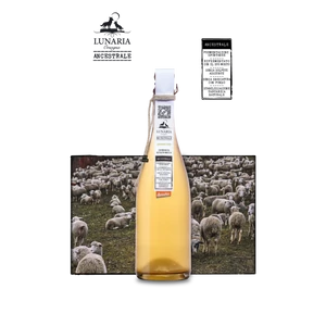 Orsogna Lunaria Pecorino PetNat Brut Nature Spumante (Abruzzo) - WineWorld Borbolt