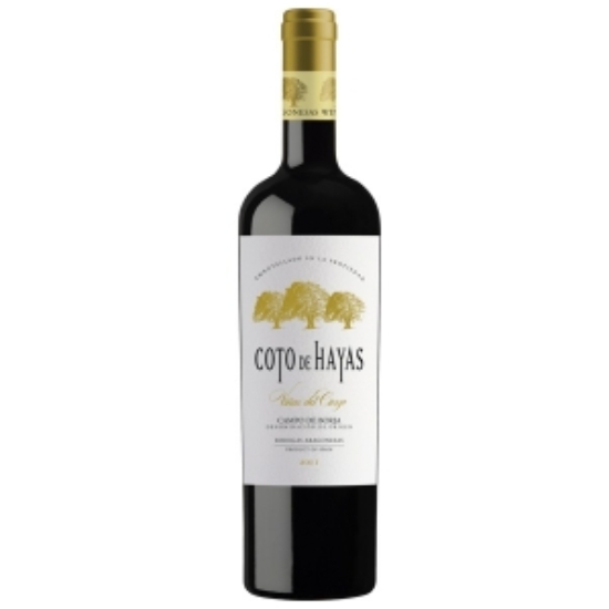 Bodegas Aragonesas Coto de Hayas- Wine World