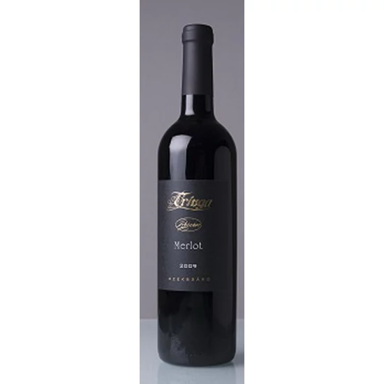 Tringa Borpince Merlot selection 2019 - WineWorld Borbolt