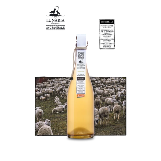 Orsogna Lunaria Pecorino PetNat Brut Nature Spumante (Abruzzo) - WineWorld Borbolt