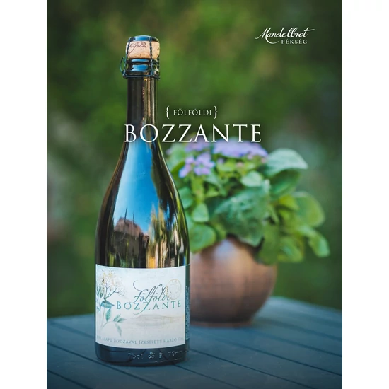 Fölföldi Bozzante - bodzás habzóbor